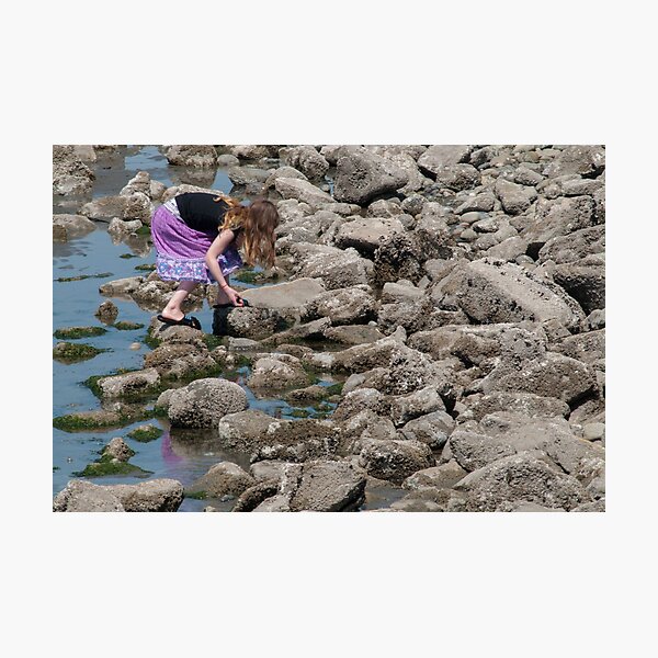 Searching Photographic Print