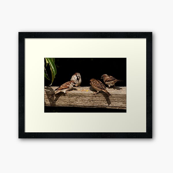 Item preview, Beautiful birds at play designed and sold by MaluC.