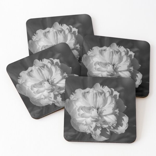 Item preview, Peony Black and White 2021 designed and sold by Thomasyoung.