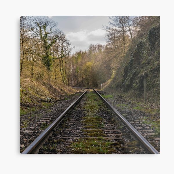 The Great Train Journey Metal Print
