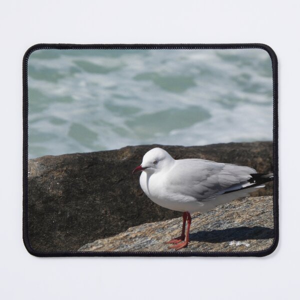 Item preview, Seagull designed and sold by Harrison Lucas.