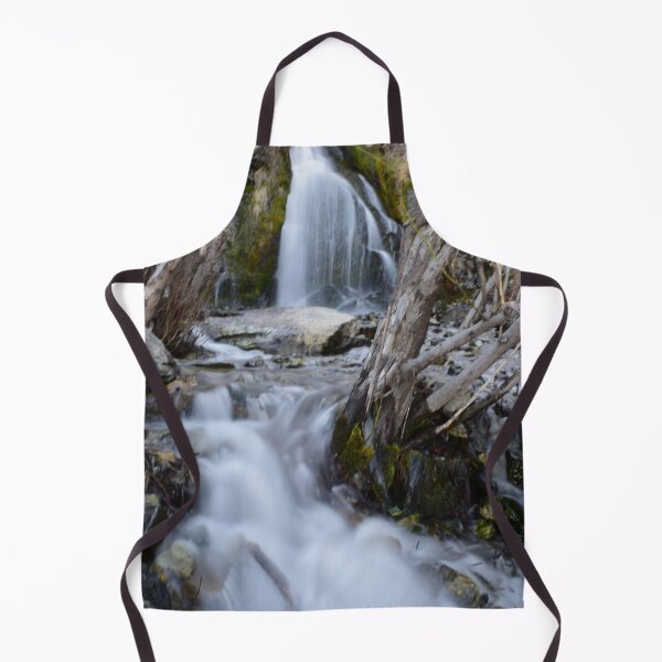 Aperçu de l'œuvre Carson City, Nevada - Cascade de Kings Canyon créée et vendue par Kathleen Douglas.