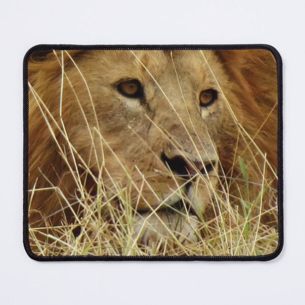 Item preview, Lazing Lion designed and sold by Mrspink16.