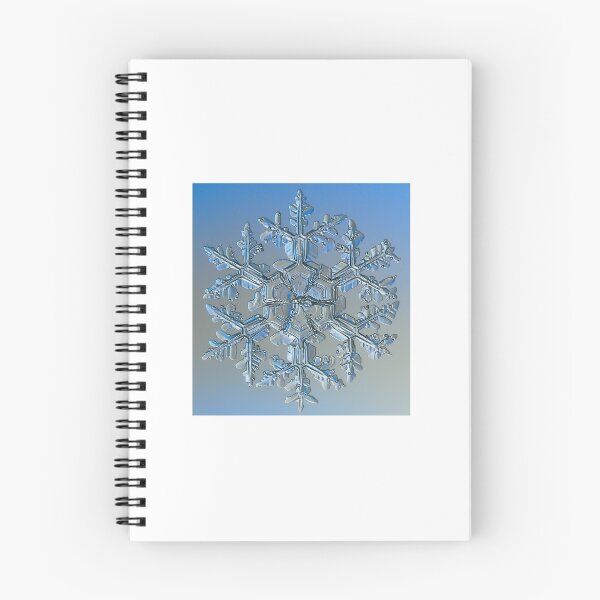 Aperçu de l'œuvre Flocon de neige créée et vendue par Volkan Morkoc.