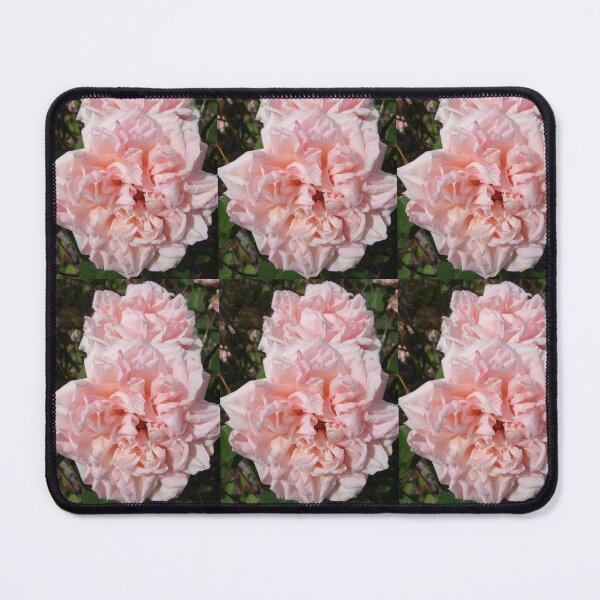 Item preview, Blush Pink Vintage Rose designed and sold by Sarah  Rajkotwala.