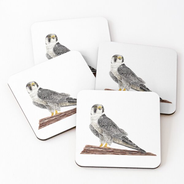 Item preview, Peregrine Falcon on the cliff designed and sold by just-art.