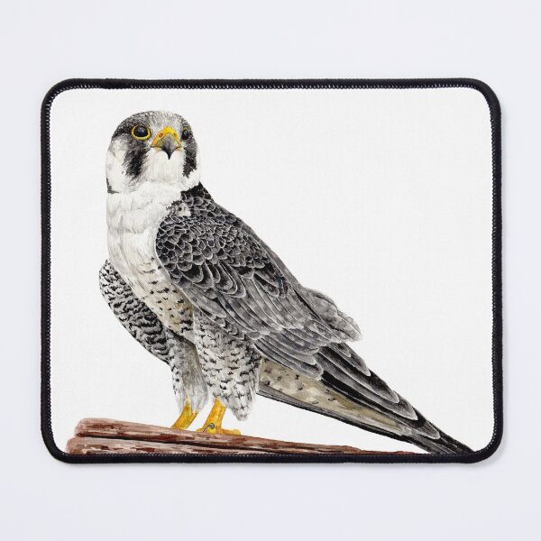 Item preview, Peregrine Falcon on the cliff designed and sold by just-art.