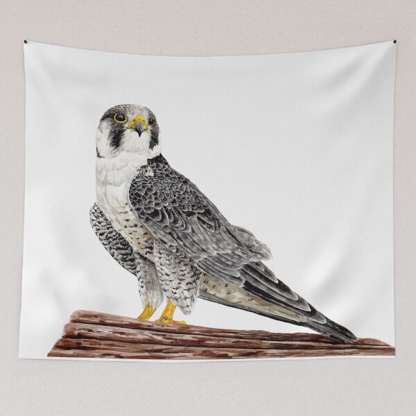 Item preview, Peregrine Falcon on the cliff designed and sold by just-art.