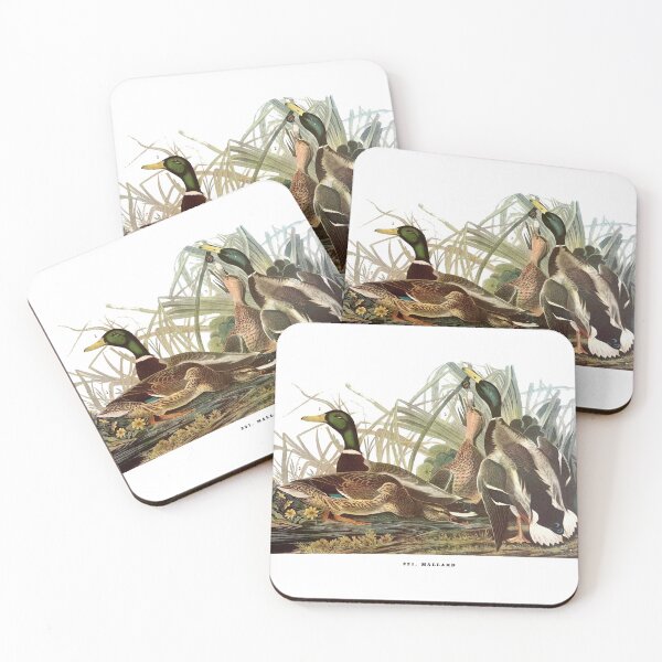 Item preview, Mallard duck - Audubon designed and sold by sanerevolution.