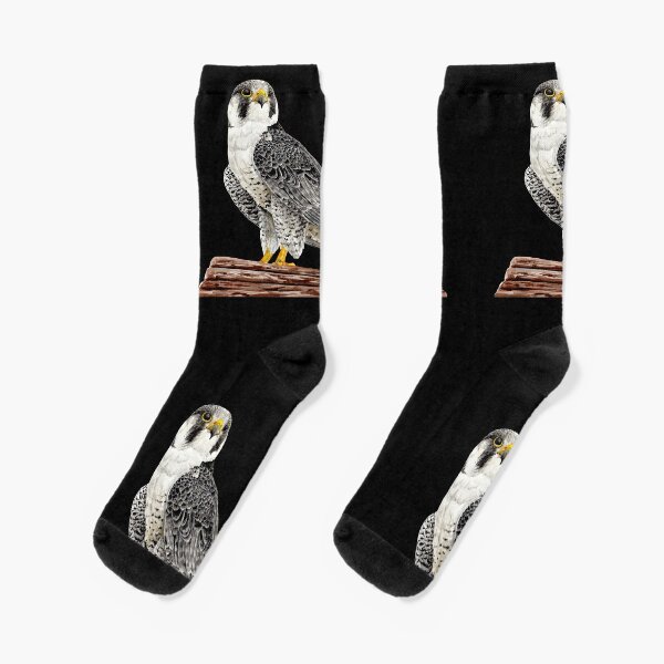 Falcon Hawk HR2 W Womens Socks Knee Stockings Riding Socks 