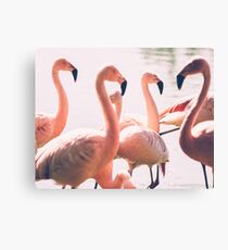 Lienzo Pink Flamingo Flock