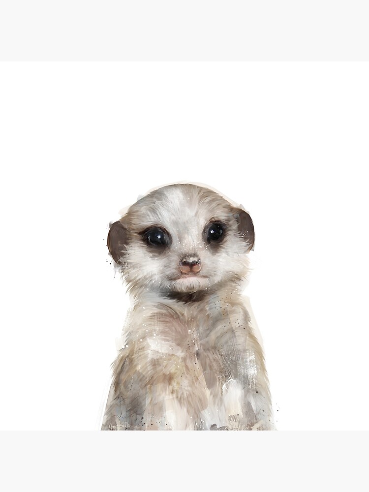Little Meerkat by AmyHamilton
