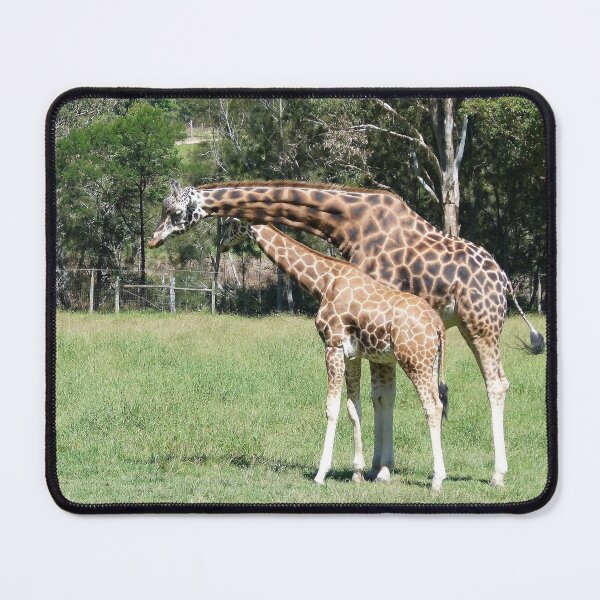 Item preview, A Family Affair designed and sold by Trish Meyer.