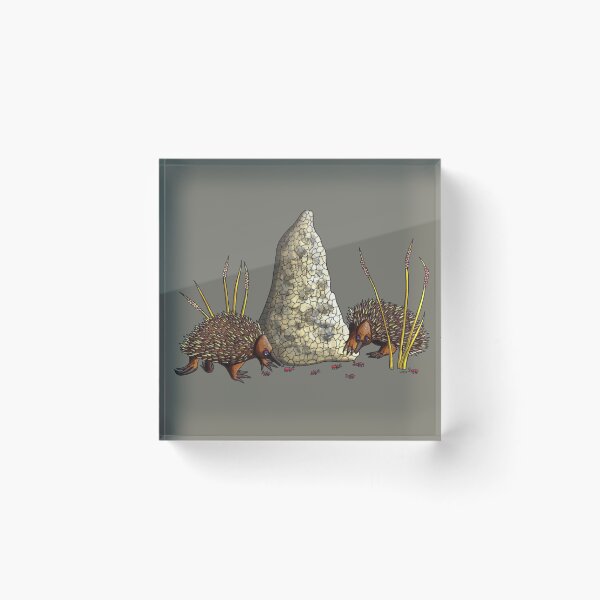 Item preview, Echidnas designed and sold by Laural Retz.