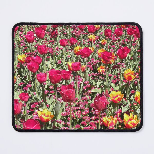 Item preview, A Riot of Colour ! designed and sold by Trish Meyer.