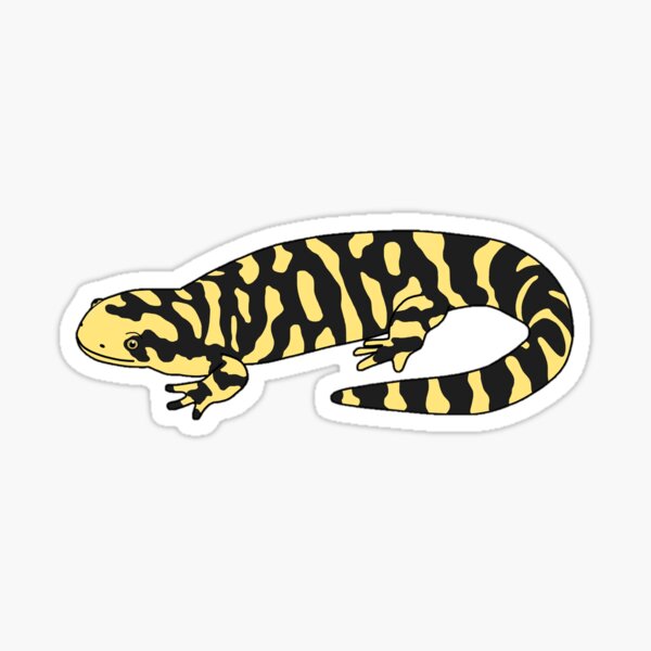 Item preview, Tiger Salamander designed and sold by taylorrowan.