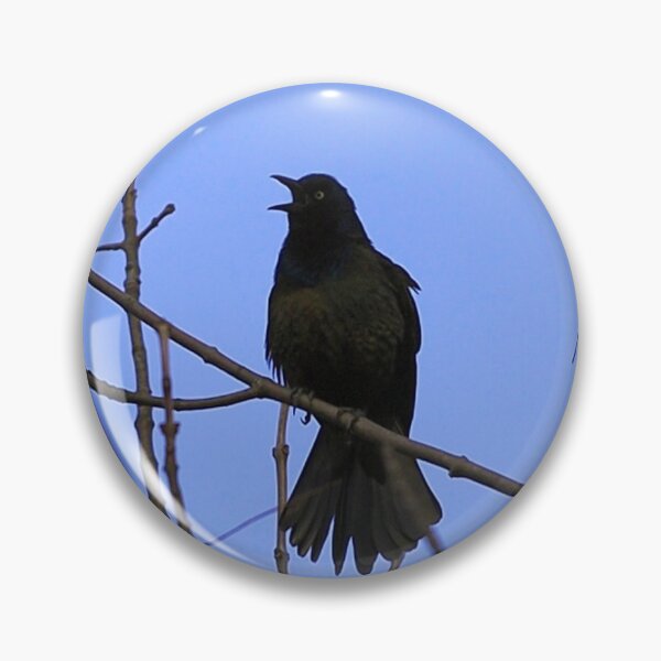 Item preview, Common Grackle Perched On A Tree Branch designed and sold by BackyardBirder.