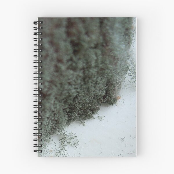 Item preview, Mould. I designed and sold by Bluesrose.