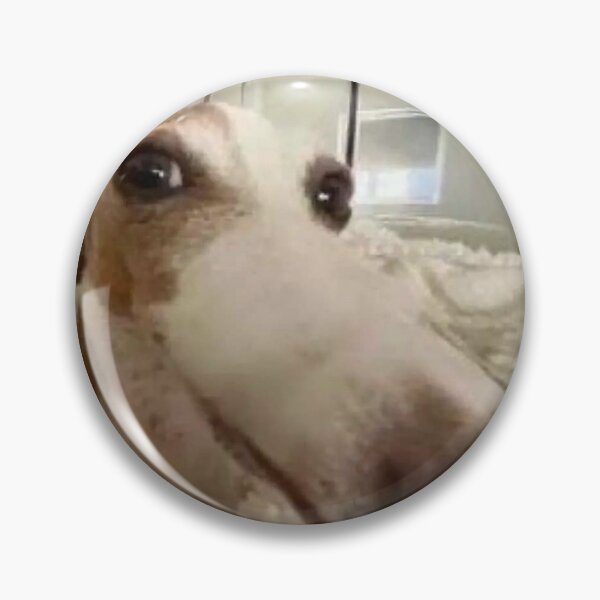 Item preview, Funny Dog designed and sold by P34NUTXD.