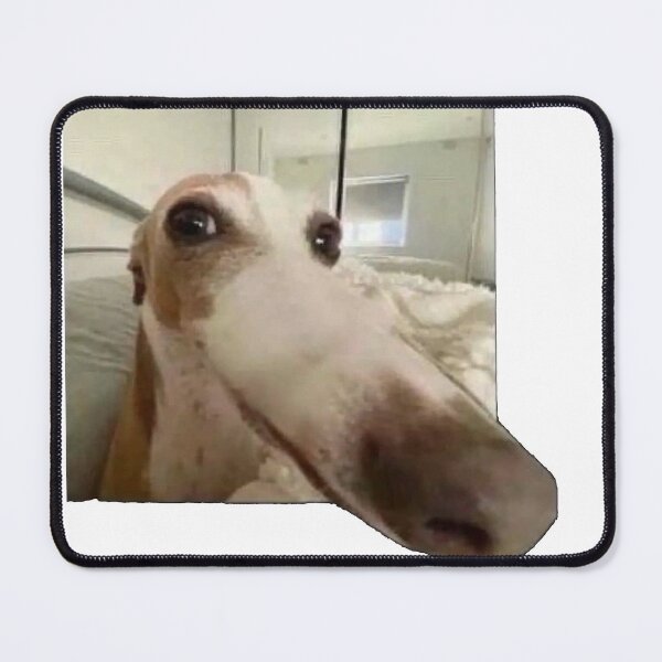 Item preview, Funny Dog designed and sold by P34NUTXD.