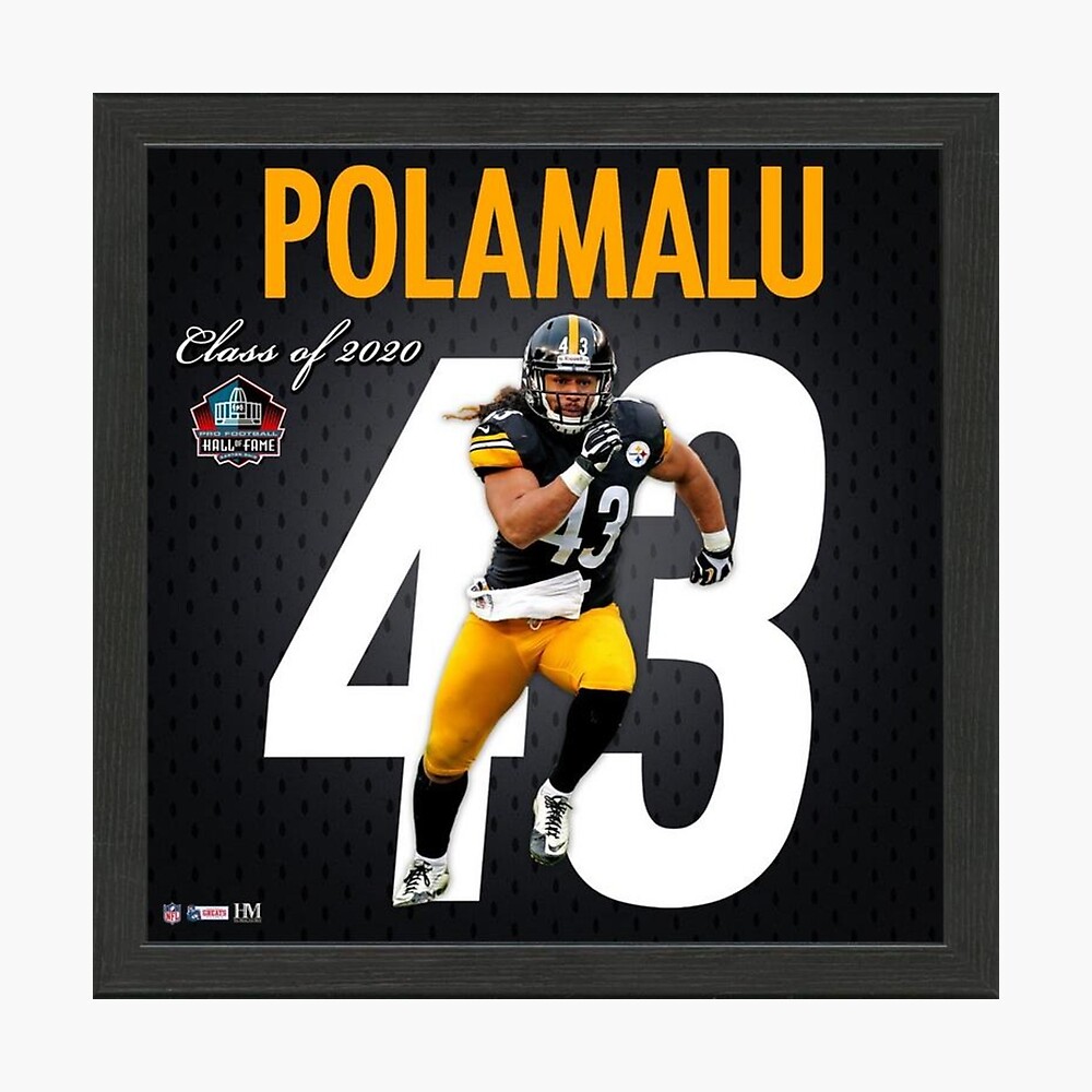 Troy Polamalu Active T-Shirt for Sale by positiveimages