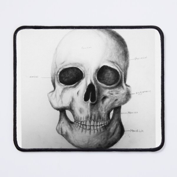 Item preview, Skull Drawing Labeled designed and sold by DanaRenae.