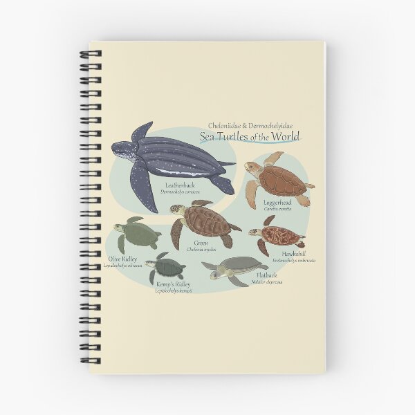 Item preview, Sea Turtles of the World designed and sold by ArtByBreah.