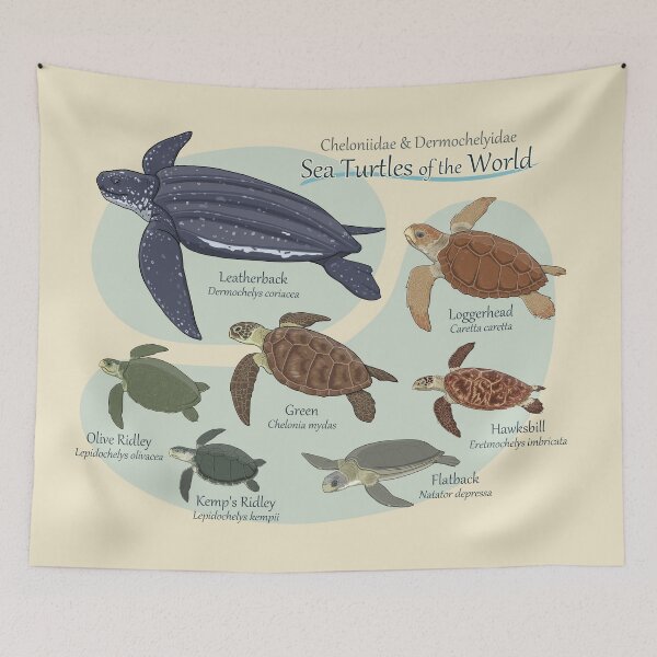 Item preview, Sea Turtles of the World designed and sold by ArtByBreah.