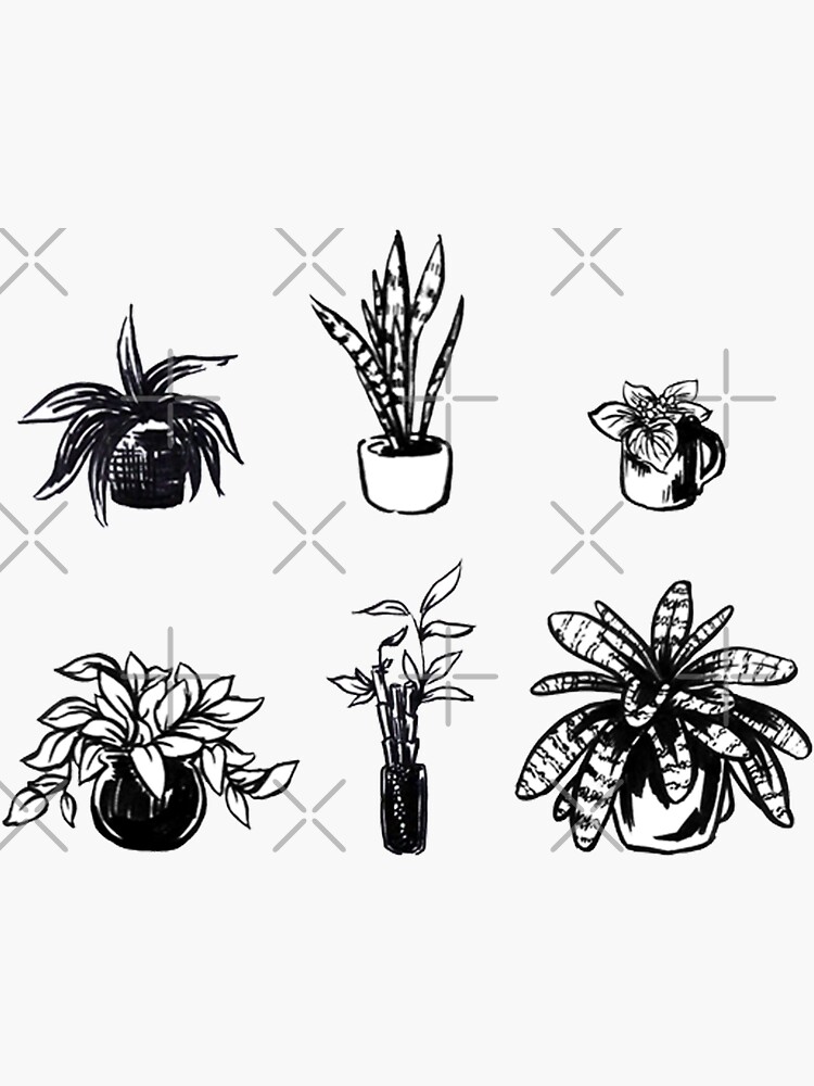 Assorted Houseplants by seasofstars