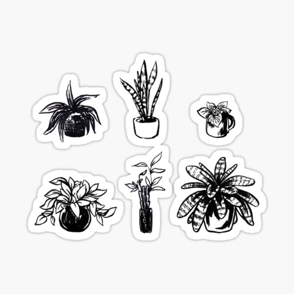 Assorted Houseplants Sticker