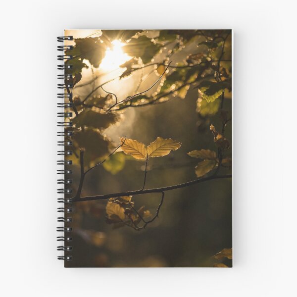 Item preview, Autumn beech leaf designed and sold by Ian Maclellan.