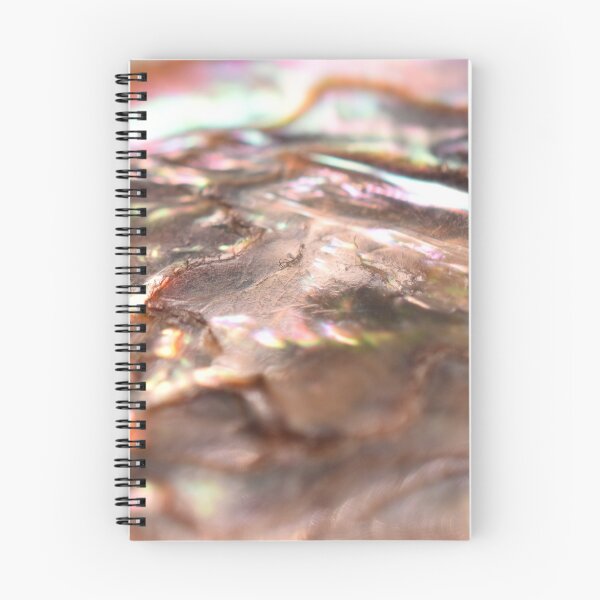 Item preview, Abalone Shell designed and sold by umeimages.