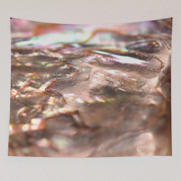 Item preview, Abalone Shell designed and sold by umeimages.