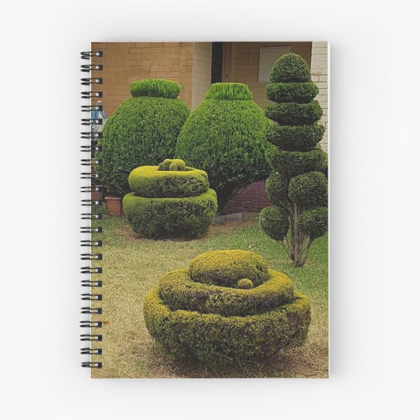 Item preview, HEDGE FUNDS - TOPKNOTS 2 designed and sold by Bev Aisbett.