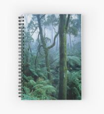 Winter Morning on Mount Dandenong Spiral Notebook
