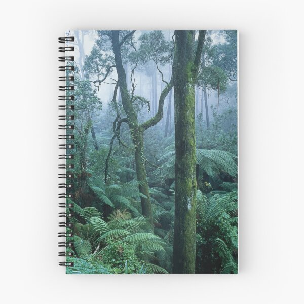 Item preview, Winter Morning on Mount Dandenong designed and sold by Alex Fricke.