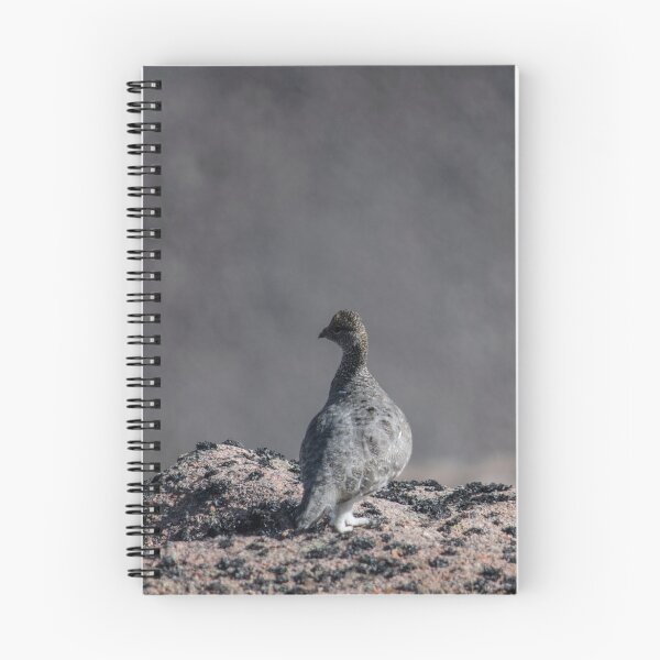 Item preview, Ptarmigan  designed and sold by Ian Maclellan.