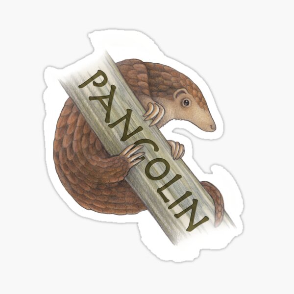 Pangolin on Tree Sticker