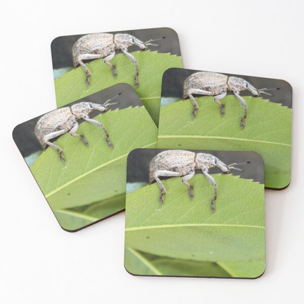 Item preview, Weevil bug designed and sold by Shirlei  Barnes.