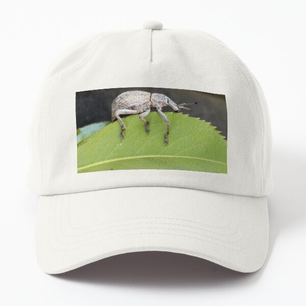 Weevil bug Dad Hat
