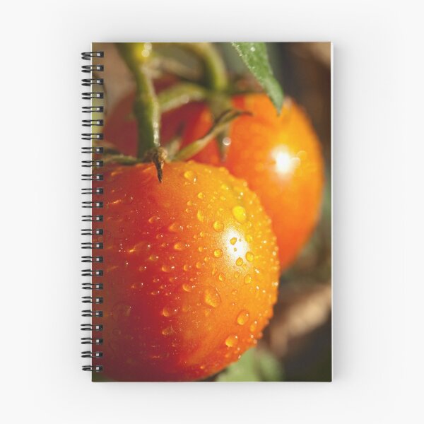 Item preview, Cherry Tomatoes designed and sold by Austscapes.