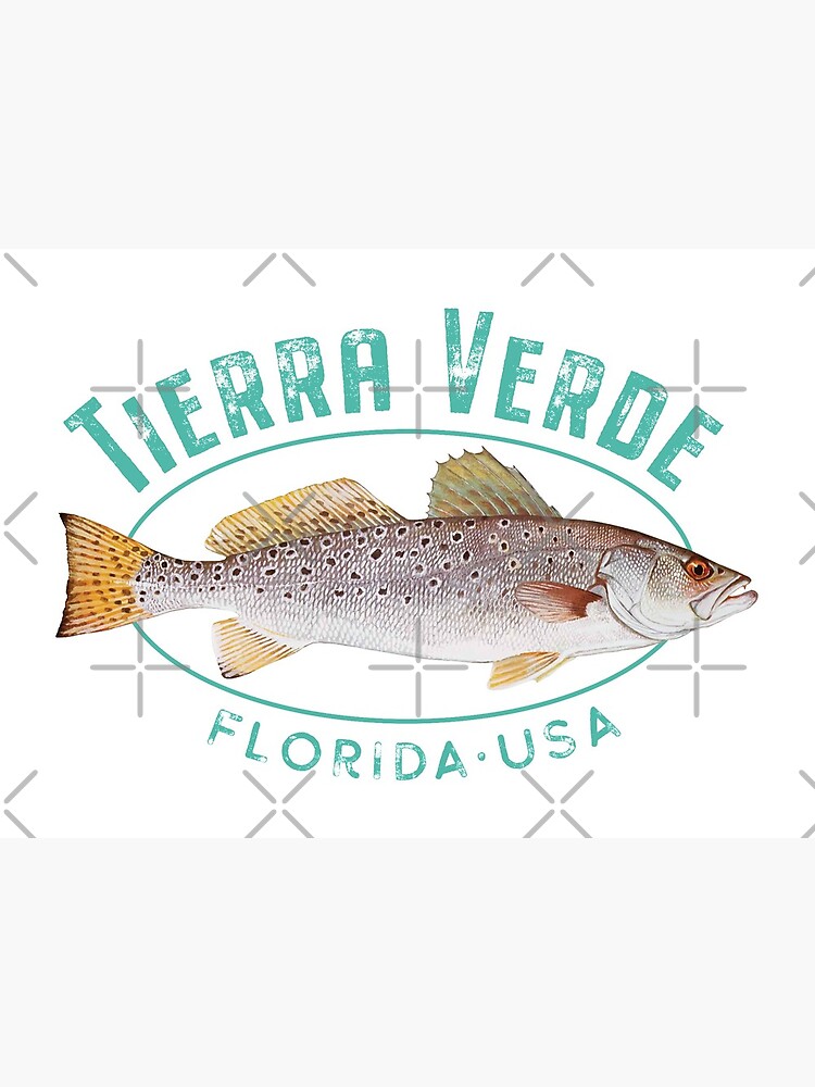 Tierra Verde Florida Trout Classic T-Shirt | Redbubble