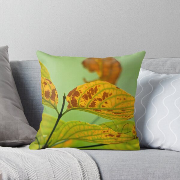 Item preview, Touched By Autumn designed and sold by NatureGreeting Cards ©ccwri.