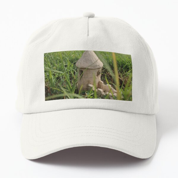 Abandoned castle Dad Hat