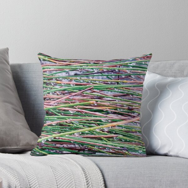 Item preview, Raindrops on Beach Grass  Mount Maunganui New Zealand | Mount Shots designed and sold by Ursula Hurn.