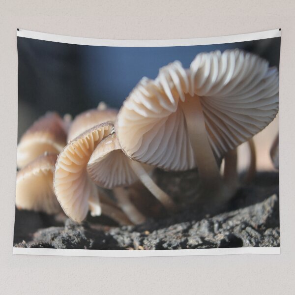 Item preview, Mushroom designed and sold by Shirlei  Barnes.