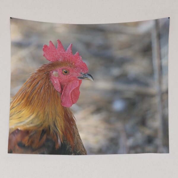 Item preview, Rooster designed and sold by Shirlei  Barnes.