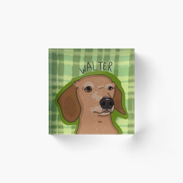 Walter Acrylic Block
