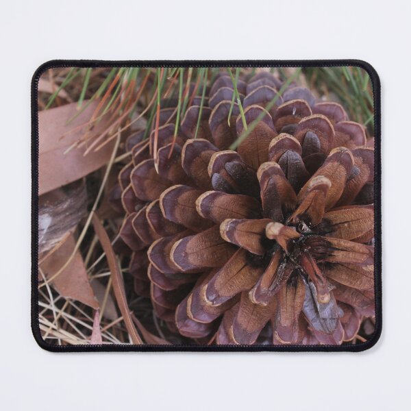 Item preview, Pine Cone designed and sold by Shirlei  Barnes.