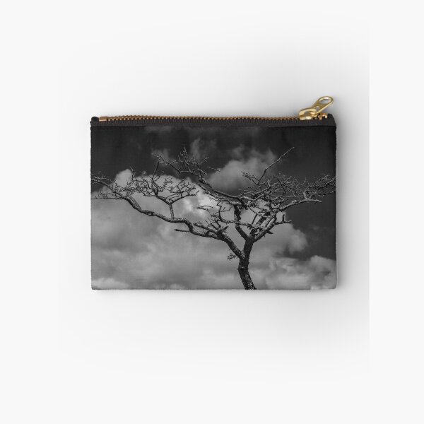 Item preview, Hawthorn designed and sold by Ian Maclellan.